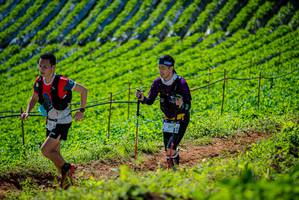 BIB: 
                            <button type="button" onclick="openModal(19162259)" class="btn btn-primary btn-sm float-right btn-popup" data-toggle="modal" data-target=".modal-high-quality">
                        <i class="fas fa-shopping-cart"></i> Add to Cart
                    </button>
                                            <button type="button" onclick="isThisMe(19162259, true)" class="btn btn-success btn-sm float-right btn-popup btn-isme hidden" data-toggle="tooltip" data-placement="bottom" title="นี่คือรูปของคุณใช่ไหม คลิกที่นี่เพื่อเอาเข้าอัลบั้ม">
                        <i class="fas fa-plus"></i> Add to album
                    </button>
                    <button type="button" onclick="isThisMe(19162259, false)" class="btn btn-warning btn-sm float-right btn-popup btn-isnotme hidden">
                        <i class="fas fa-ban"></i> Remove from album
                    </button>